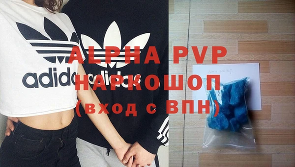 стаф Волоколамск