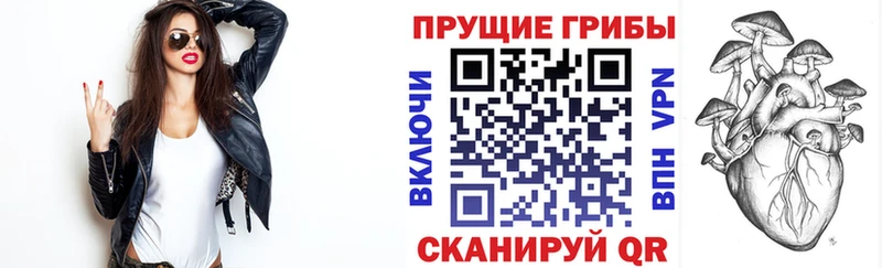 купить наркотик  Касли  Галлюциногенные грибы Psilocybine cubensis 